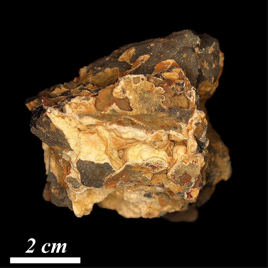 Sample 09SJ05 Photo of the sample 09SJ05 from Svalbard.